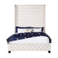 ACME Fabric Queen Bed